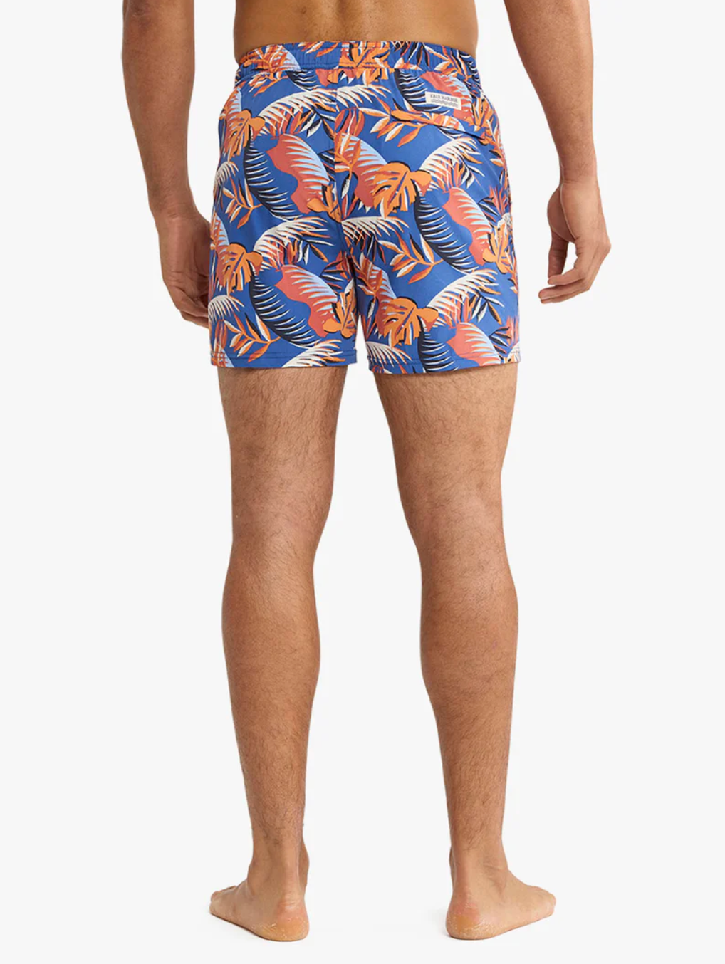 The Bungalow Trunk 5" Macro Palms