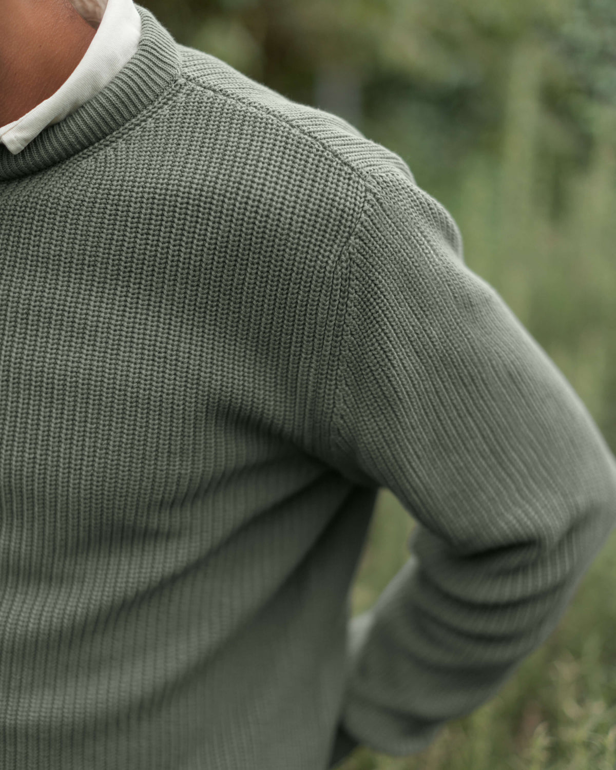 Bay Sweater Pine