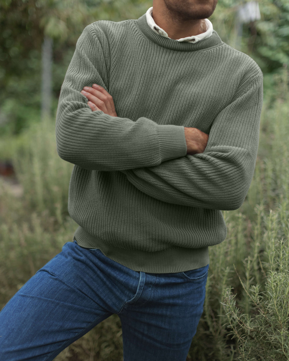 Bay Sweater Pine