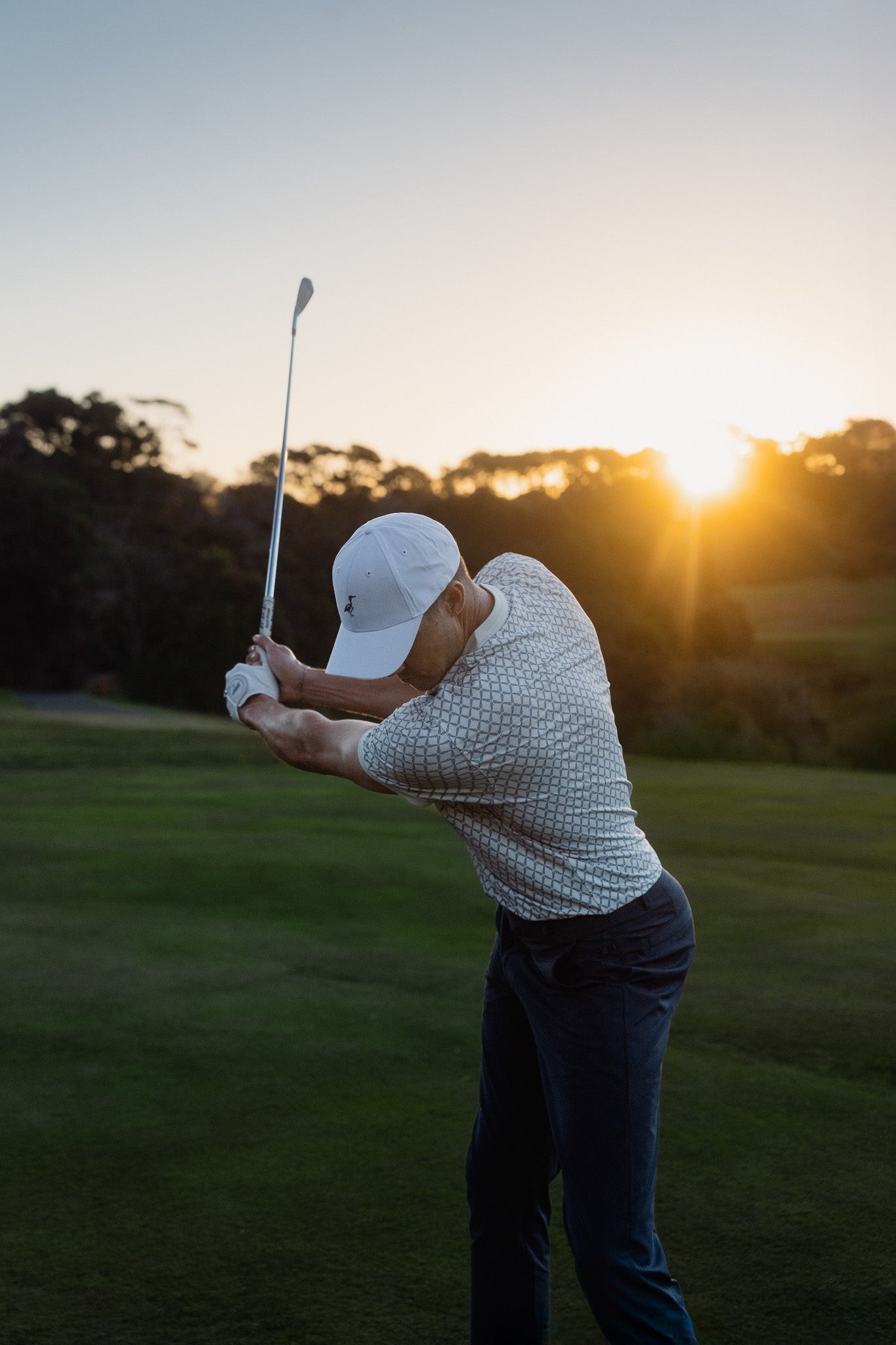 Catalyst Polo Lupine