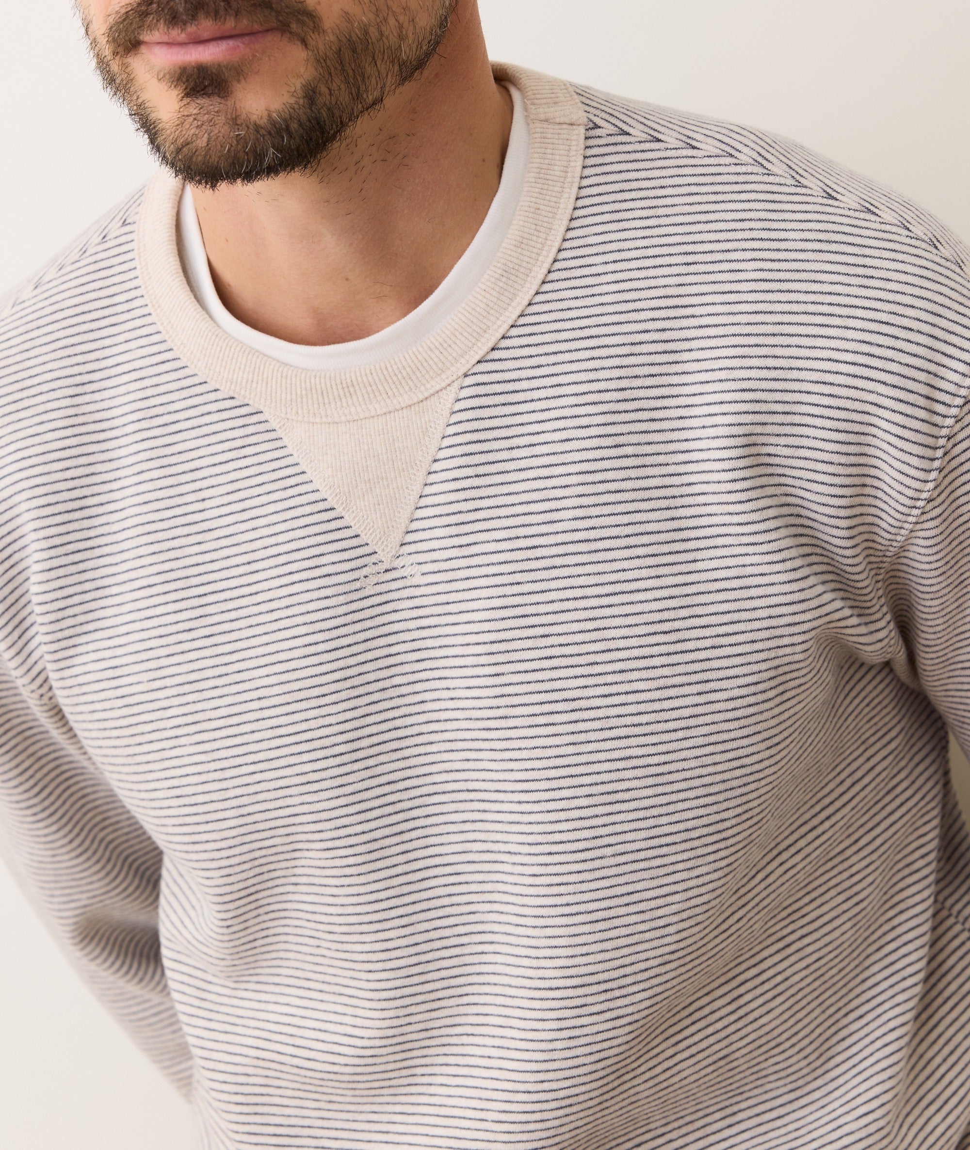 Relaxed Cloud 9 Fleece Crewneck Driftwood Mini Stripe