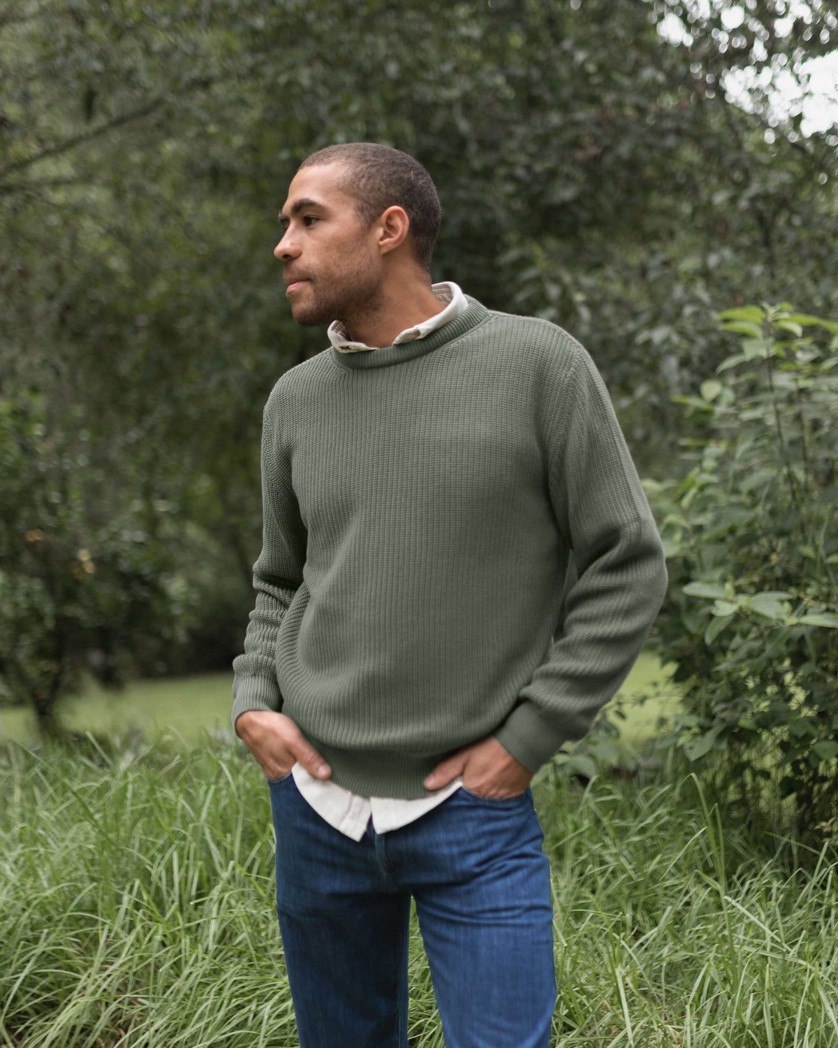 Bay Sweater Pine