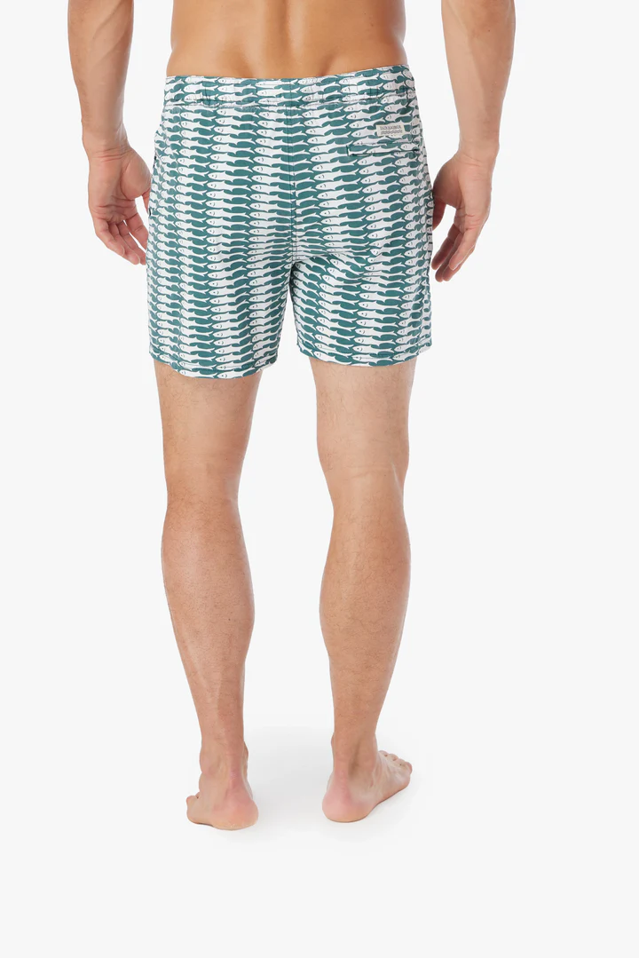 The Bungalow Trunk (5") Green Sardine
