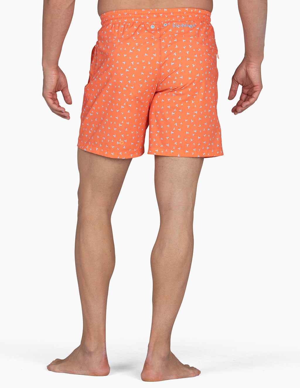 Bathing Suit - Lined Inner Banks