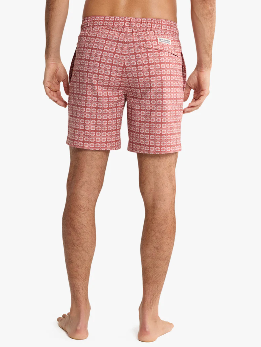 The Bayberry Trunk 7" Redstone Sand Dollar