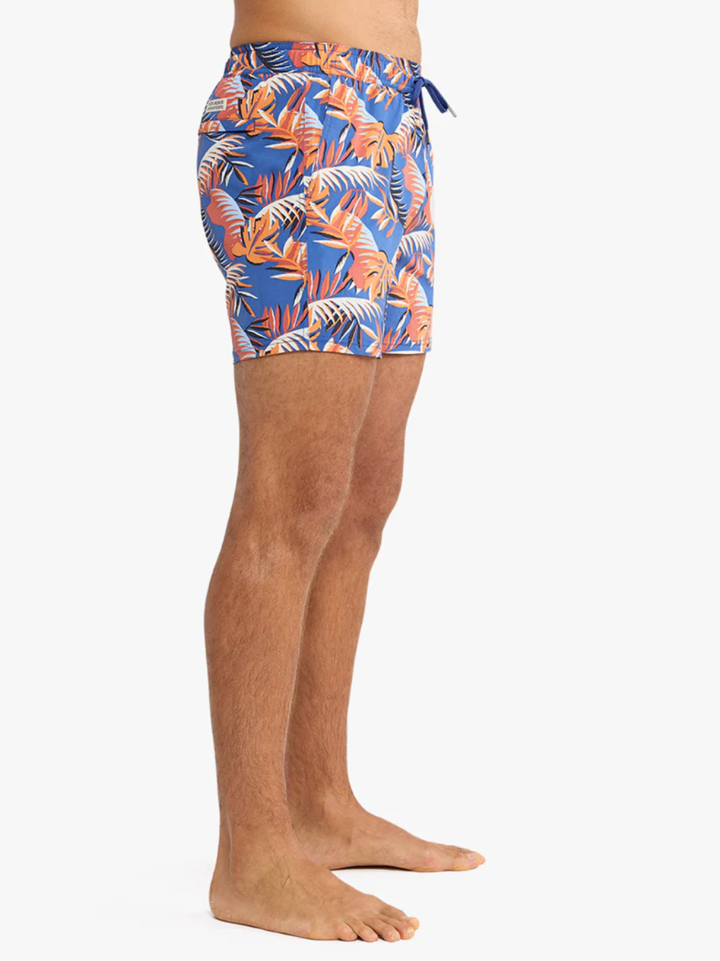 The Bungalow Trunk 5" Macro Palms