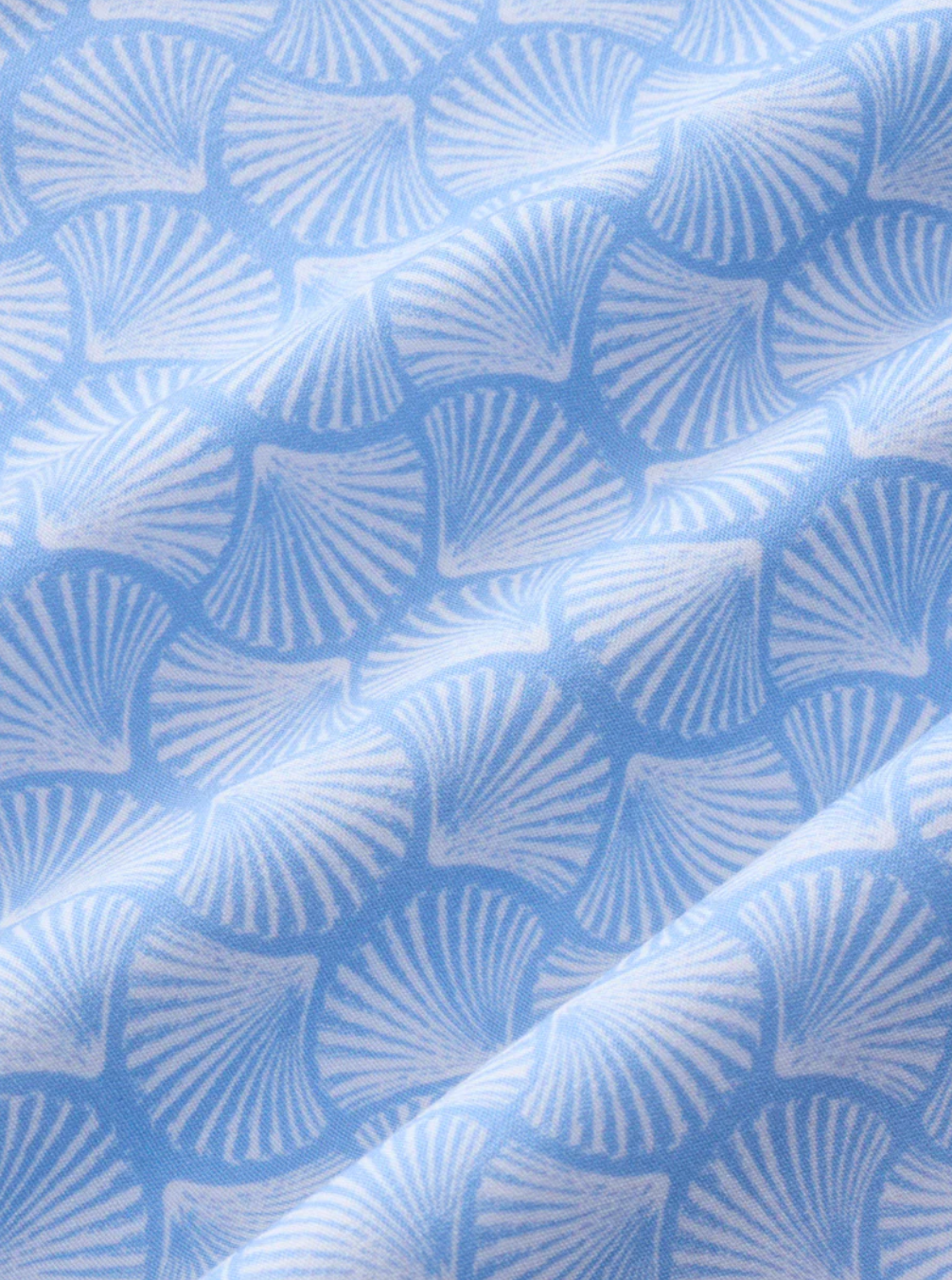 The Bayberry Trunk 7" Sky Blue Shells