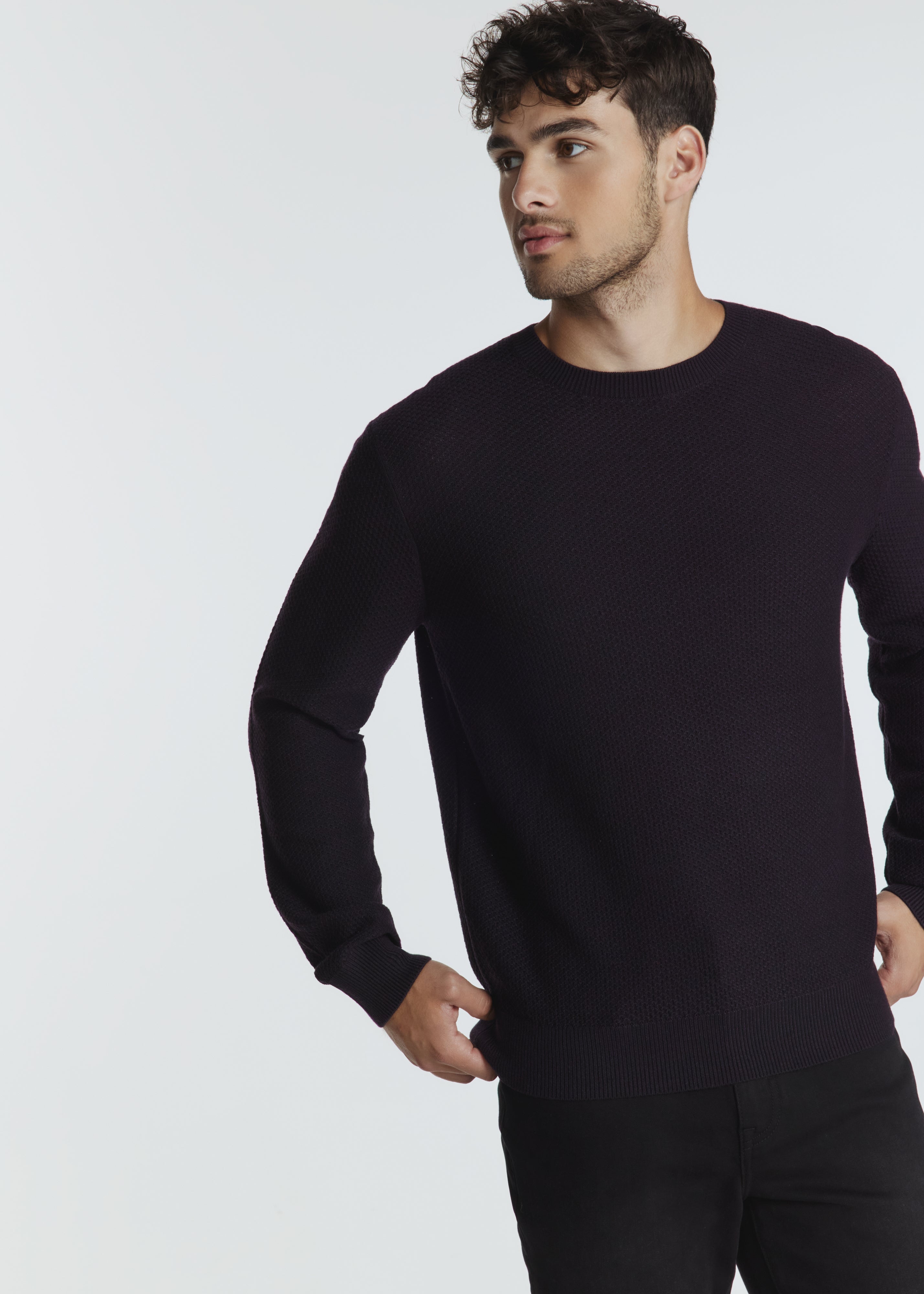 Brentwood Knit Crewneck Sweater Plum