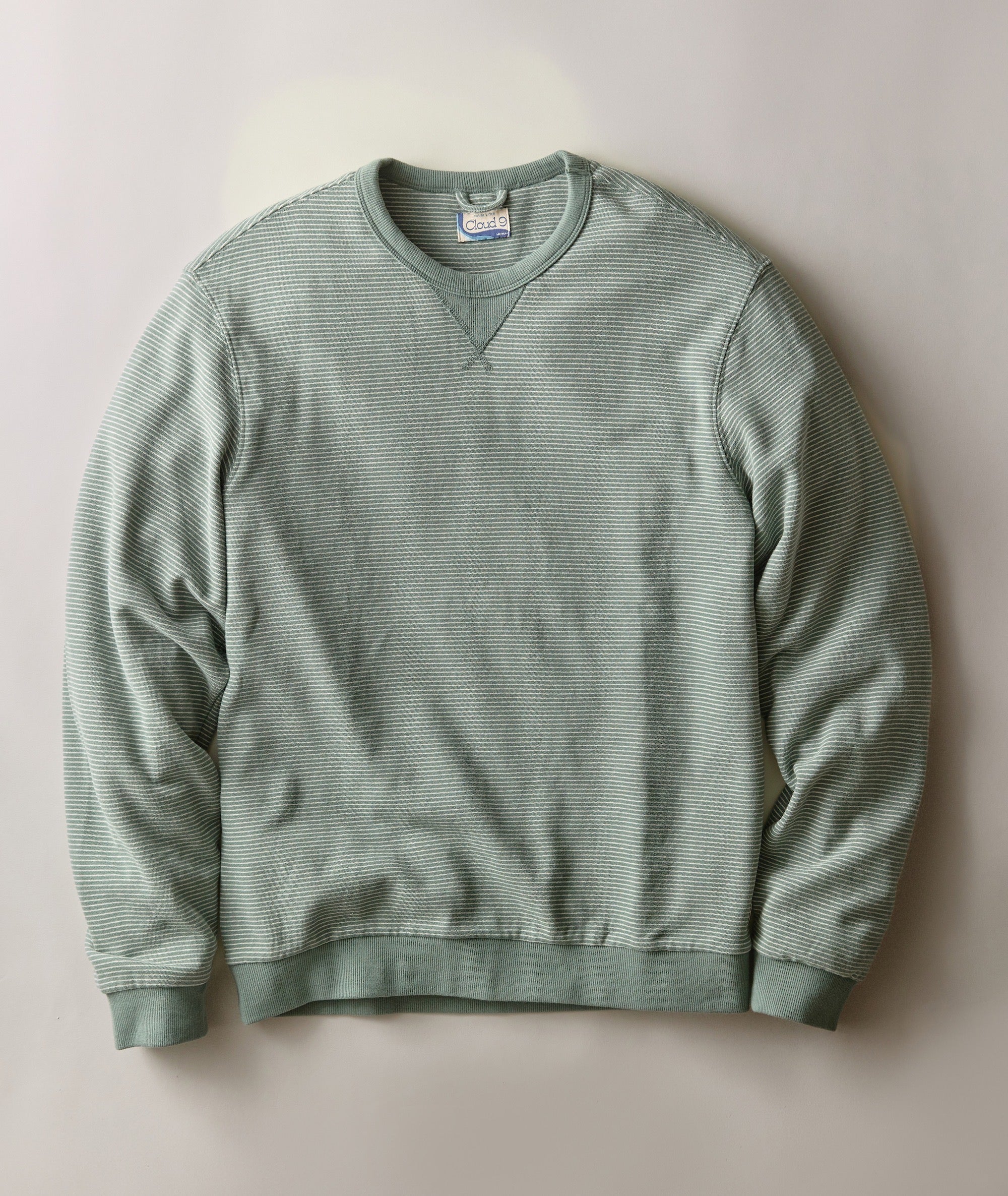 Relaxed Cloud 9 Fleece Crewneck Balsam Green Stripe