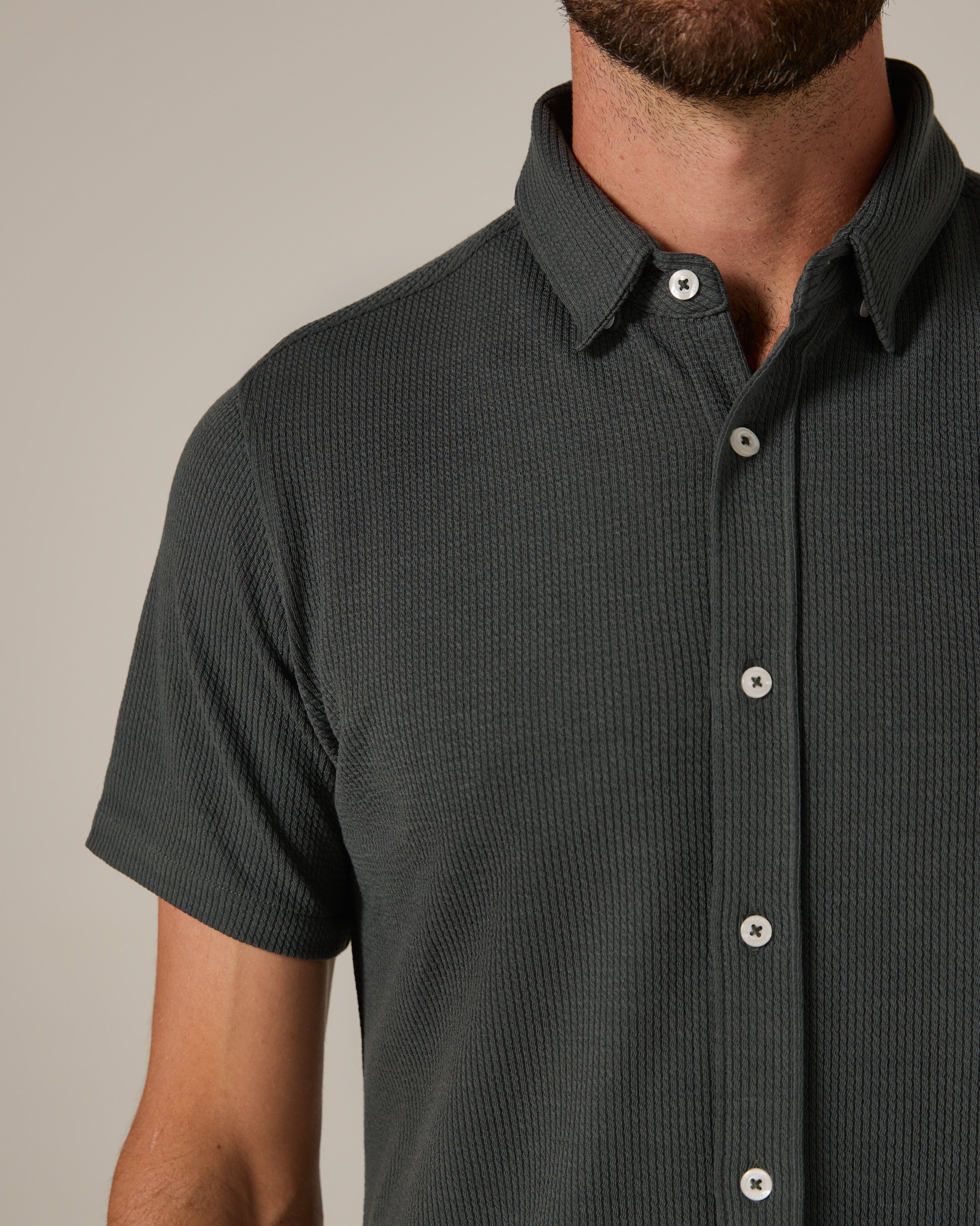 Levine Short Sleeve Shirt Basil