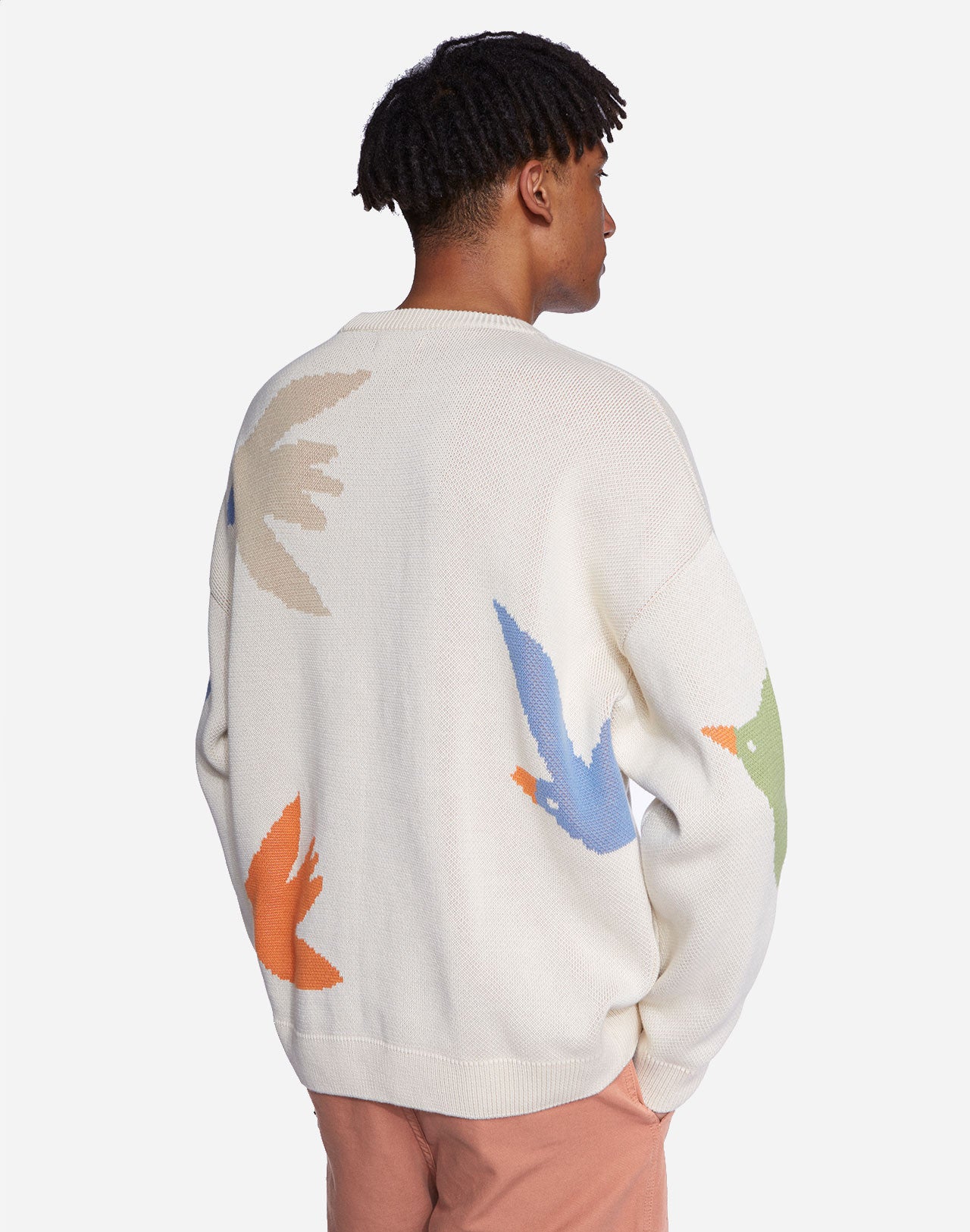 Bird Migration Pullover