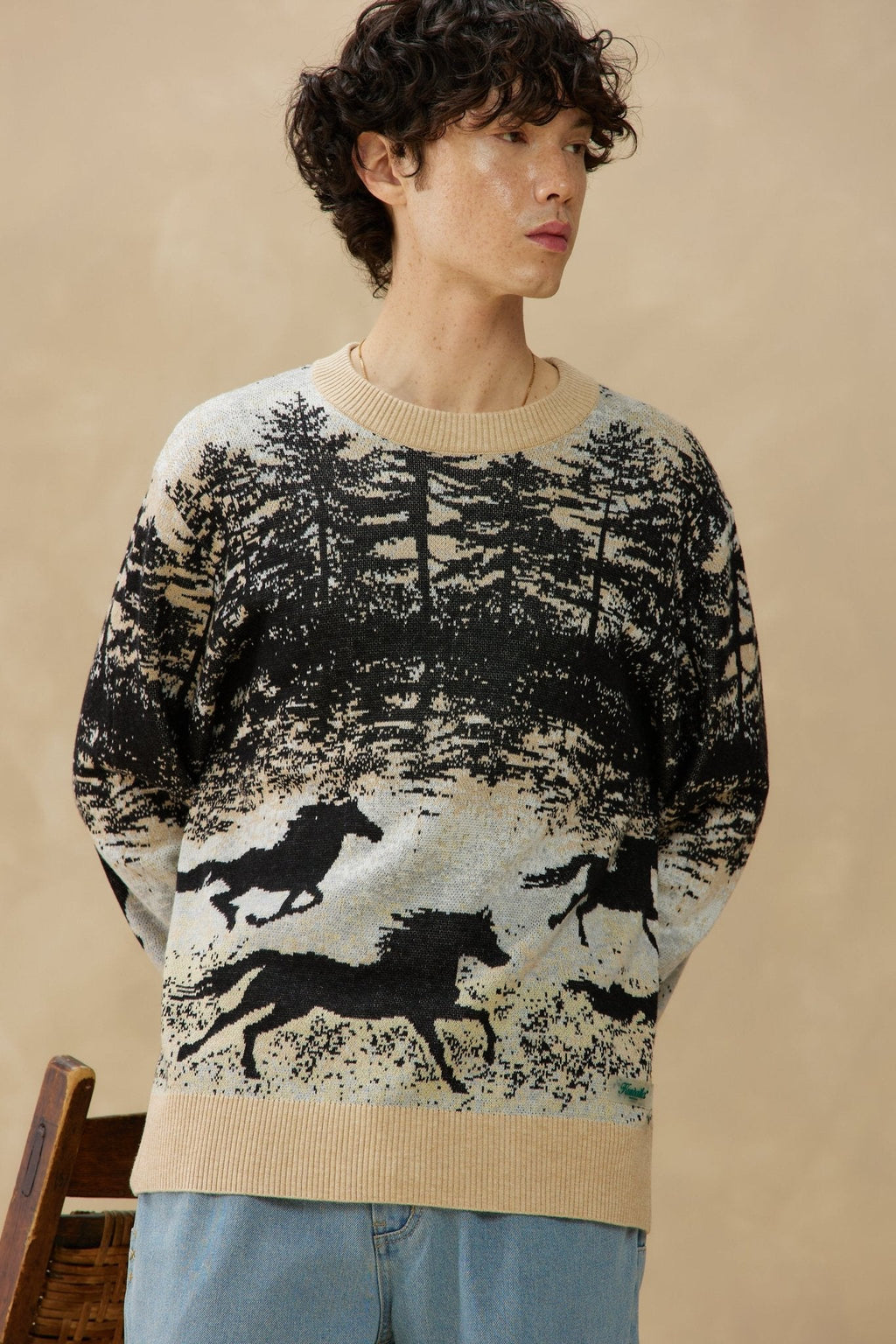 Jacquard Knit Sweater, Wild Stallion 
