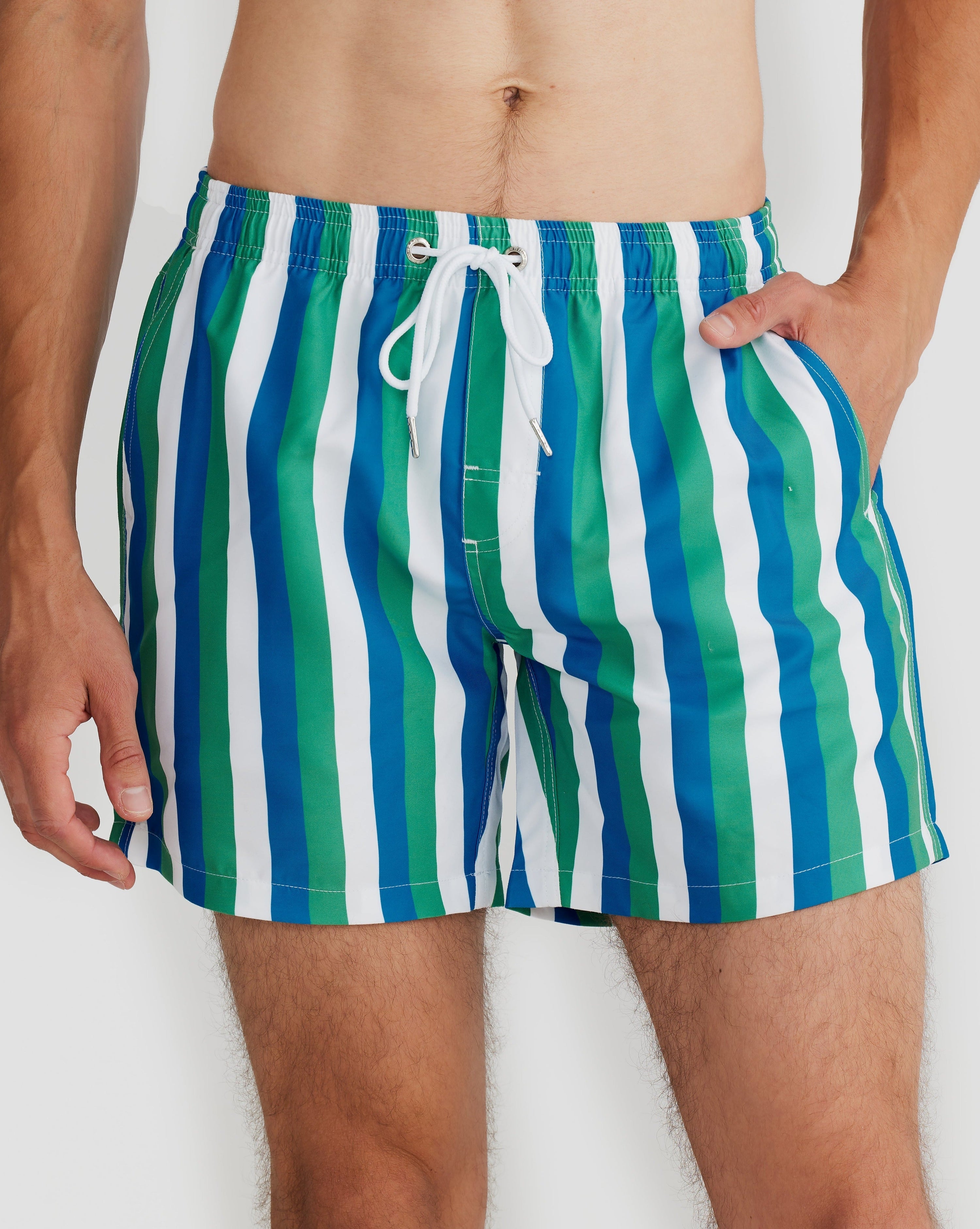 Toronto Swim Short Blue/Green Multi Stripe