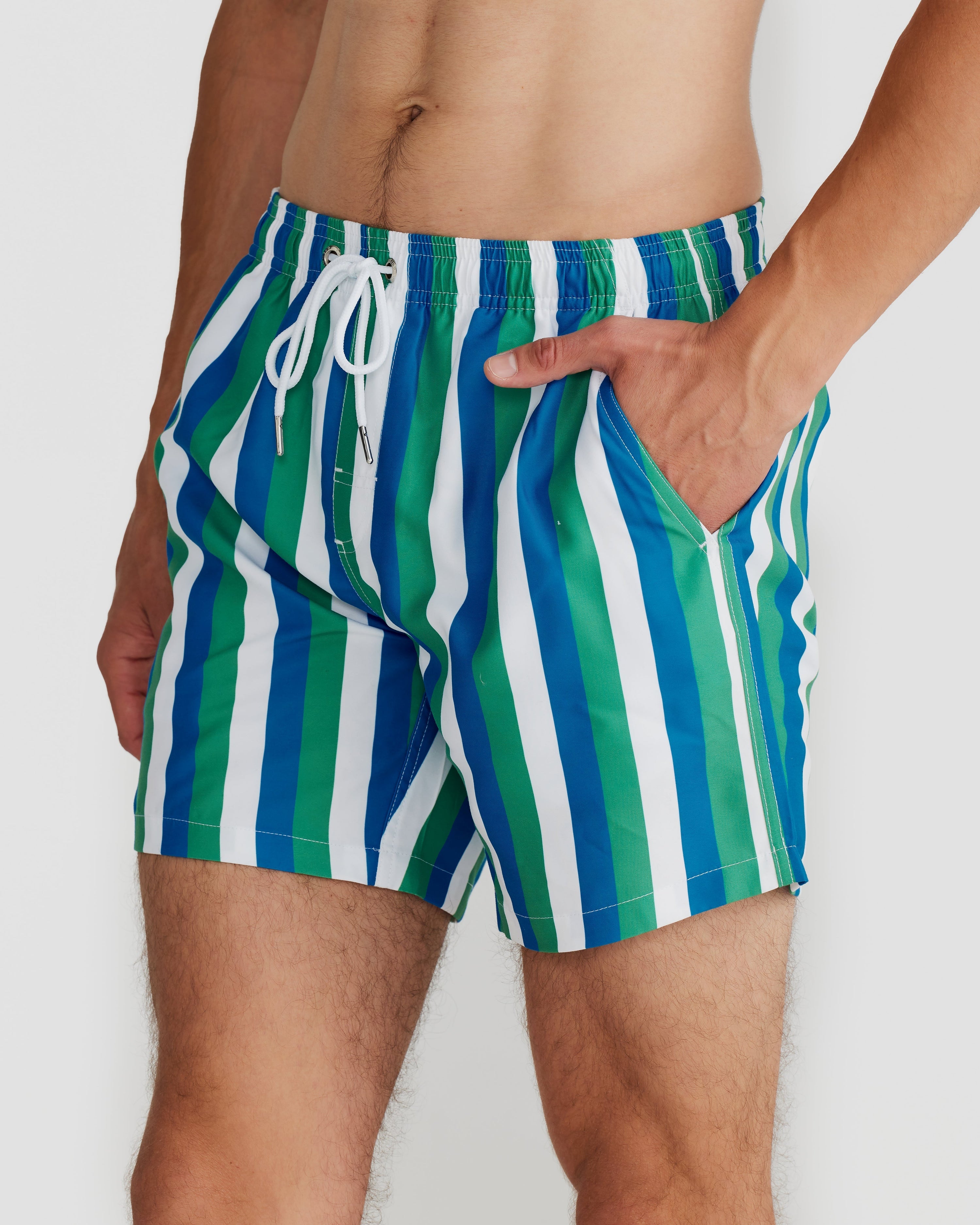 Toronto Swim Short Blue/Green Multi Stripe