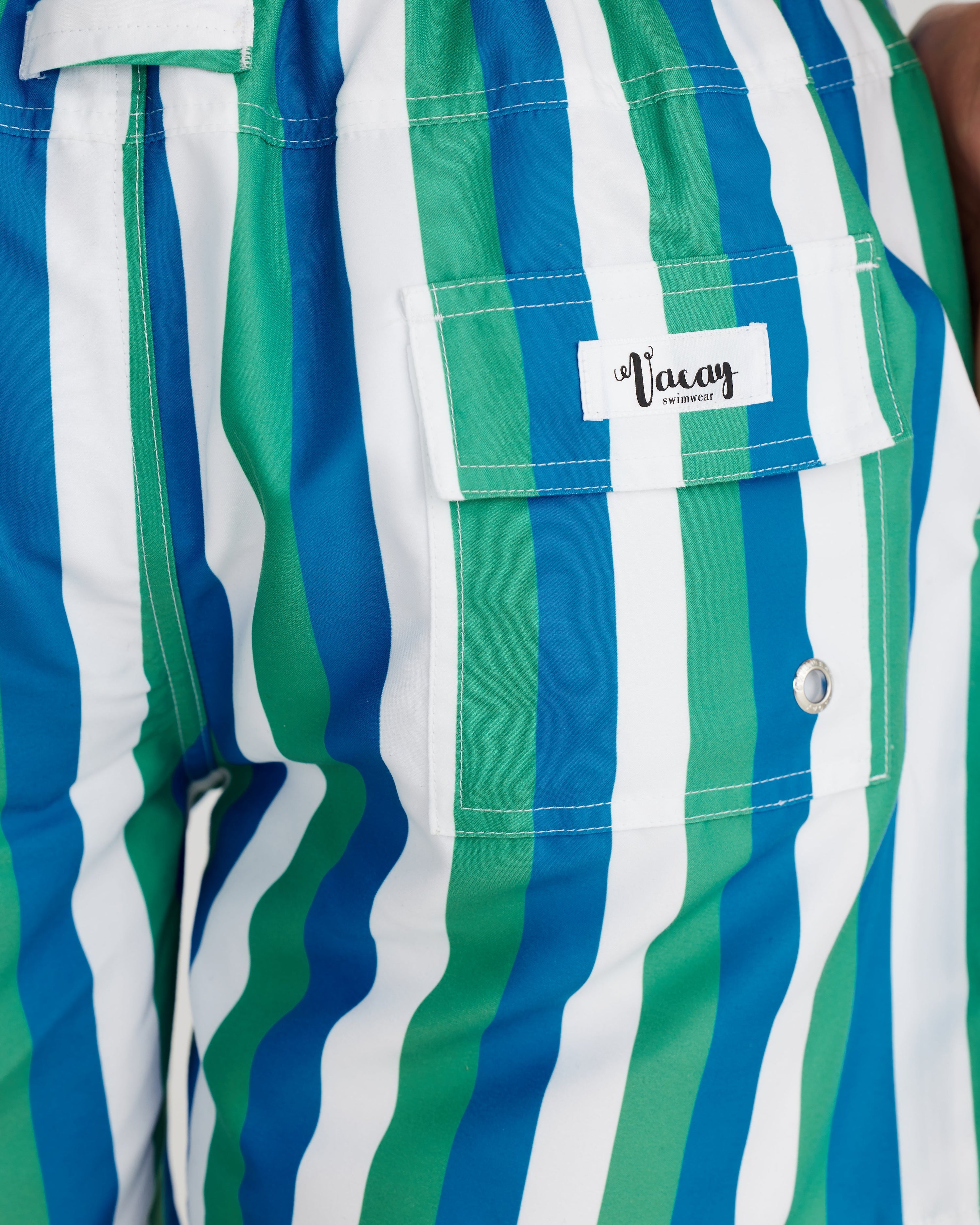 Toronto Swim Short Blue/Green Multi Stripe