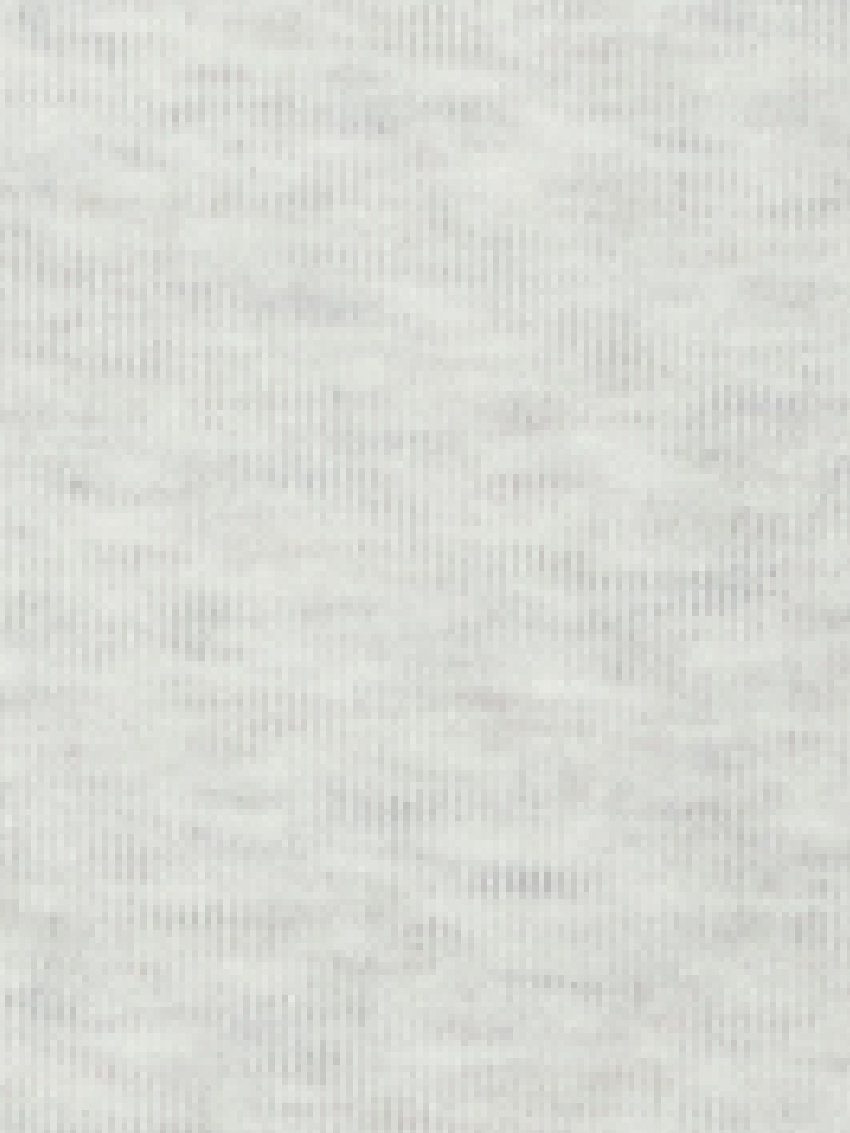 Newton Fleeced Hoodie Grey Heather