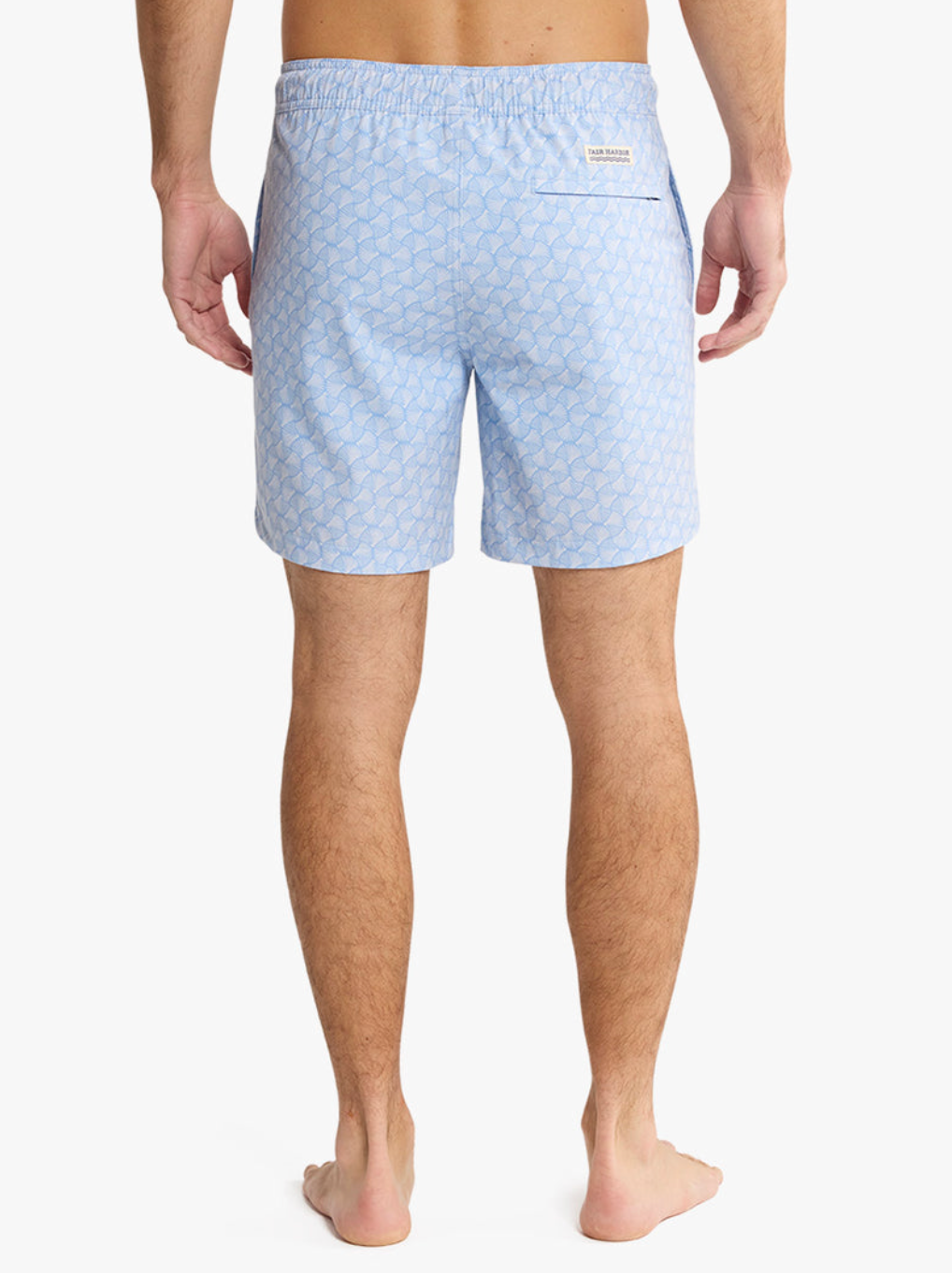 The Bayberry Trunk 7" Sky Blue Shells