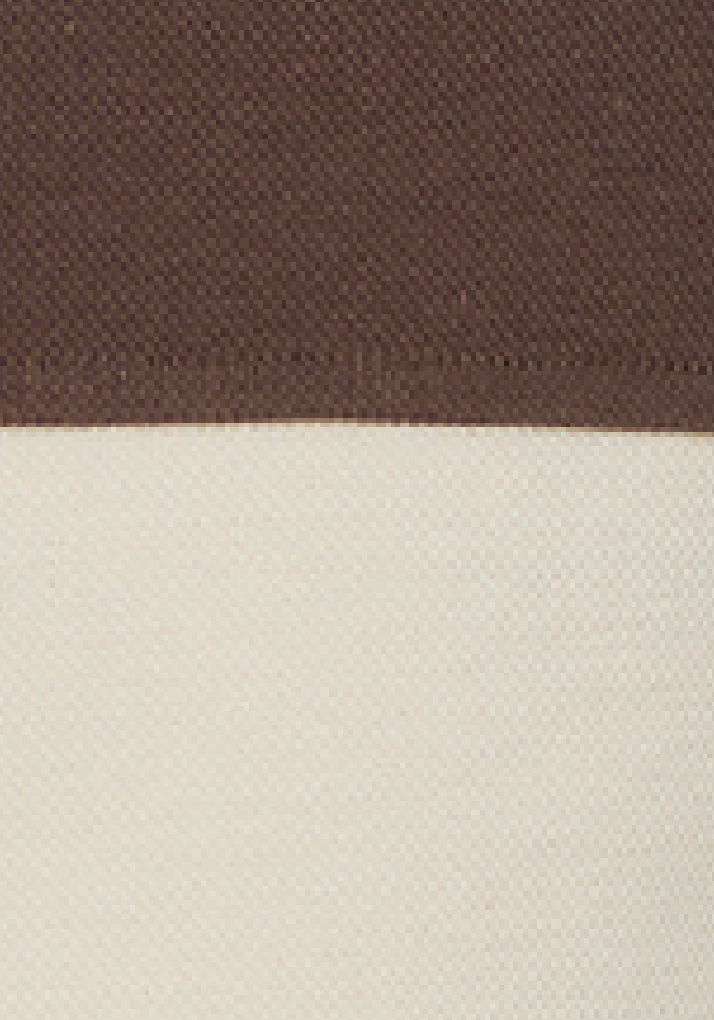 Rogersville Rugby Polo Cream/Brown