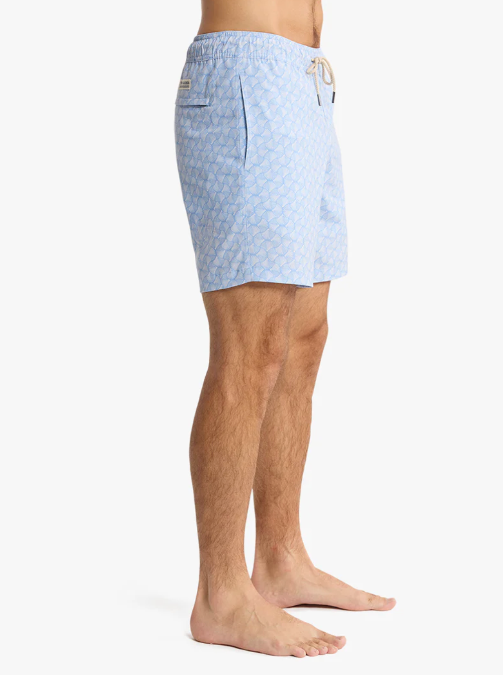 The Bayberry Trunk 7" Sky Blue Shells