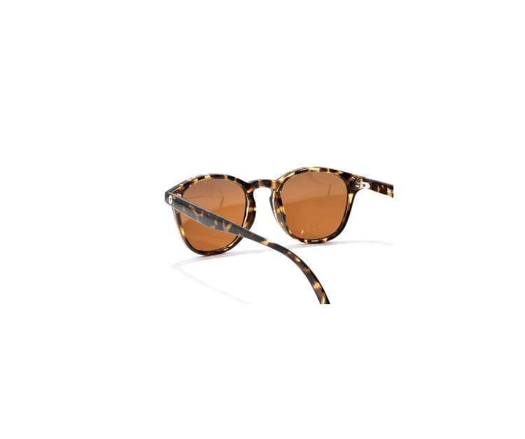 Yuba Polarized Sunglasses Tortoise Amber